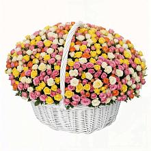 Премиум букет из: Розы #REPLACE_PRED# Малышева