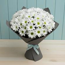 Букет цветов из:  Хризантемы #REPLACE_PRED# Малышева