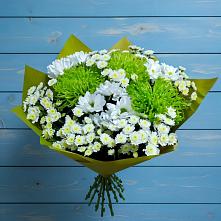 Букет цветов из:  Хризантемы #REPLACE_PRED# Малышева