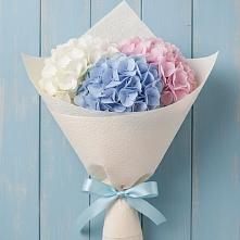 Букет цветов из:  Гортензия в Малышева