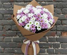 Букет цветов из:  Хризантемы #REPLACE_PRED# Малышева