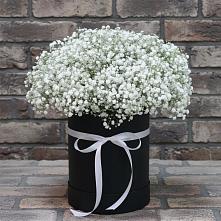 Цветочная композиция из Гипсофила в шляпной коробке в Малышева