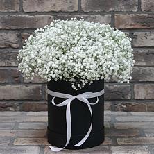 Цветочная композиция из Гипсофила в шляпной коробке в Малышева