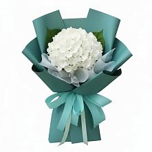 Букет цветов из:  Гортензия в Малышева